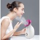 Professional Ozone Facial Steamer Clean Skin Care Equipment Face Care Wrinkle