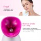 Professional Ozone Facial Steamer Clean Skin Care Equipment Face Care Wrinkle