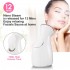 Professional Ozone Facial Steamer Clean Skin Care Equipment Face Care Wrinkle