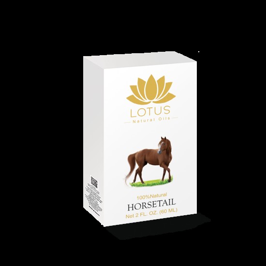 Horsetail oil to strengthen hair from roots to ends 60 ml