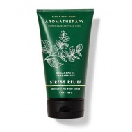 Bath and Body Works Eucalyptus Spearmint Energizing Scrub 265 g